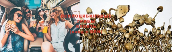 крисы Армянск