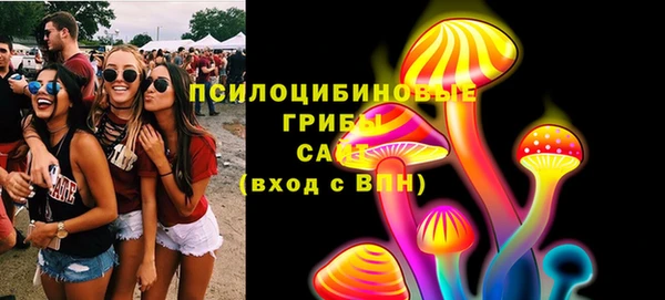 стафф Алексин